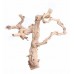 GRAPEWOOD BRANCHY Sanded 18"- OUT OF STOCK - CA ONLY